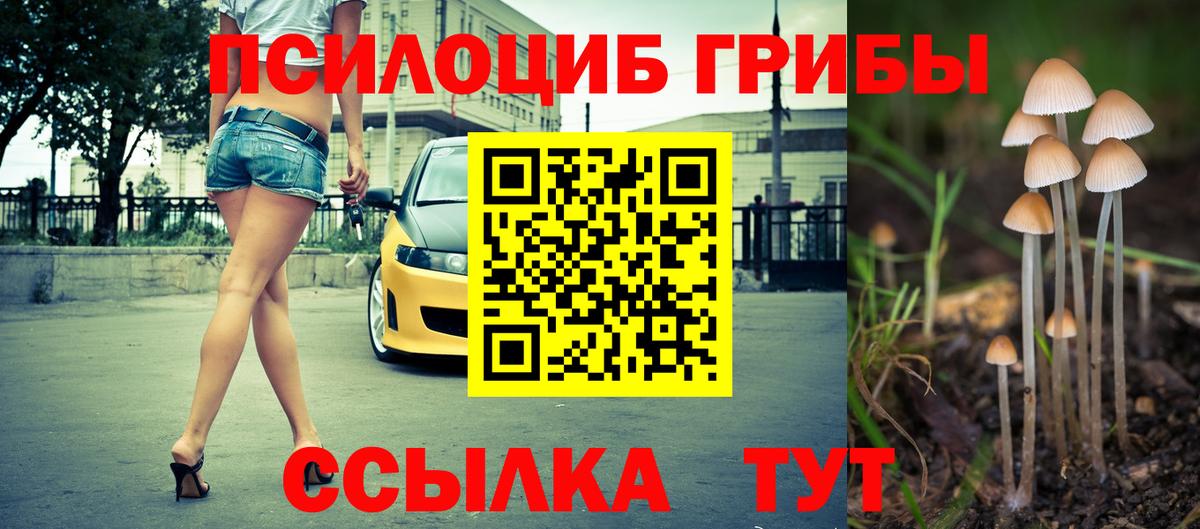 Галлюциногенные грибы Psilocybe  Псилоцибиновые грибы прущие грибы  Холмск  Вход с VPN 